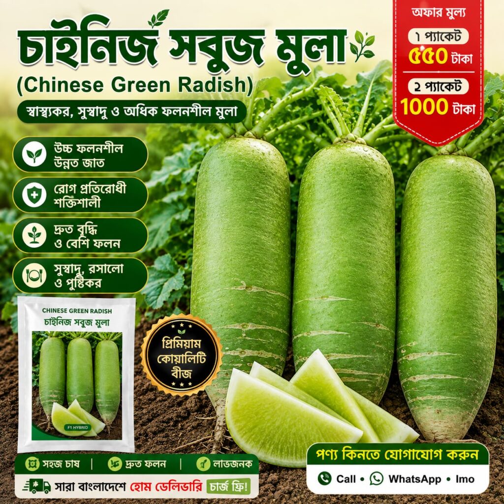 চাইনিজ সুবজ মুলা 2 প্যাকেট 1000 Tk